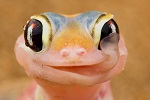 Uživatelský avatar