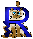Uživatelský avatar